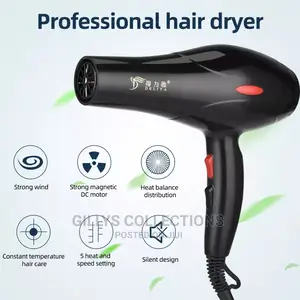 Professional Hair Dryer