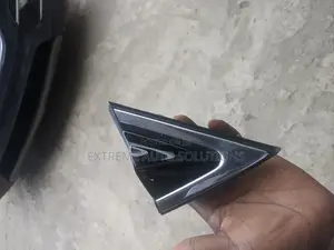 Hyundai Santafe 2013 - 2018 Mirror Pad
