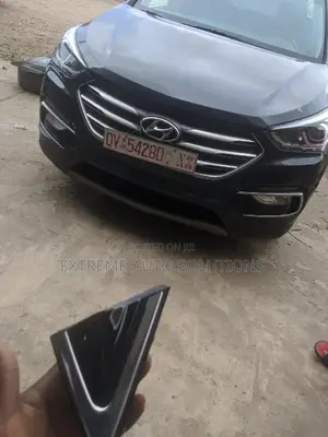 Hyundai Santafe 2013 - 2018 Mirror Pad