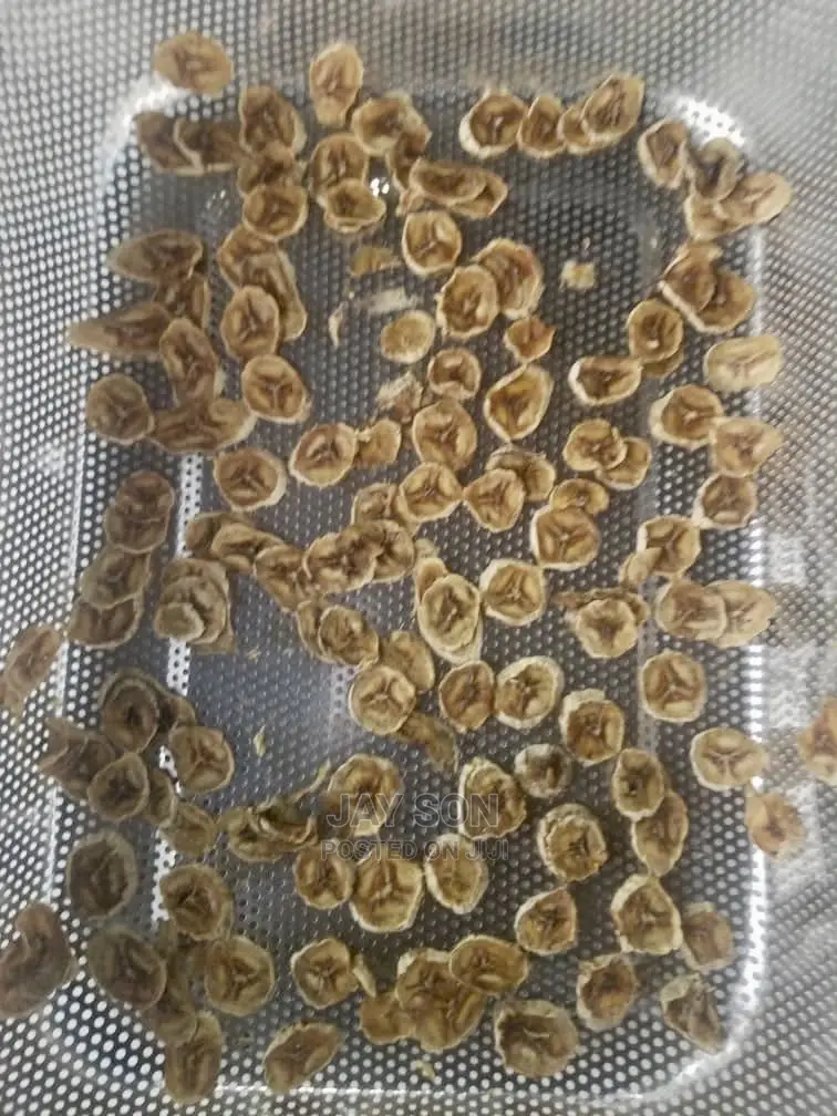 Commercial Food Dehydrator 40 Trays