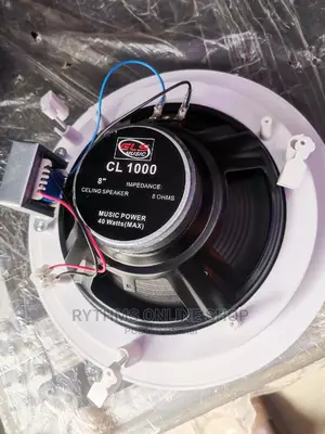 Pa Ceiling Speaker (Gls Cl1000)
