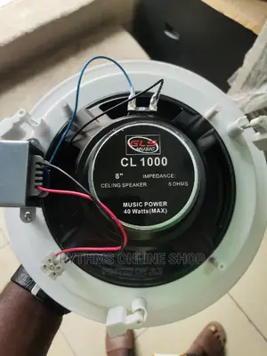 Pa Ceiling Speaker (Gls Cl1000)