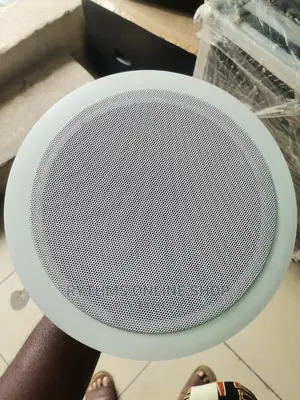 Pa Ceiling Speaker (Gls Cl1000)
