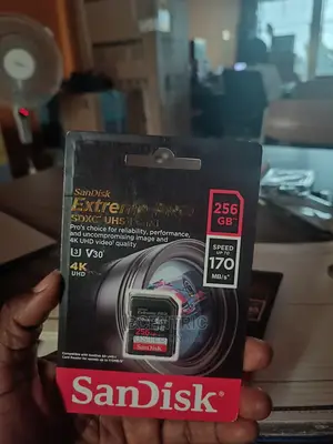 256GB Camera SD Card