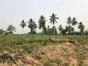 50 Acres Prampram Main Road Leading to Kpone Town