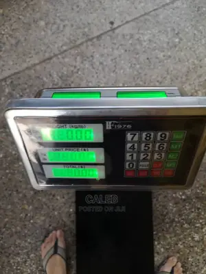 Ff1976 Scale Is 150kg