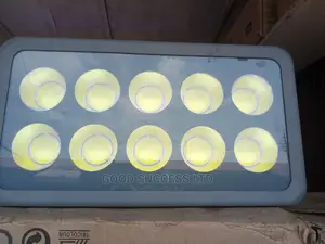 500w Flood Light