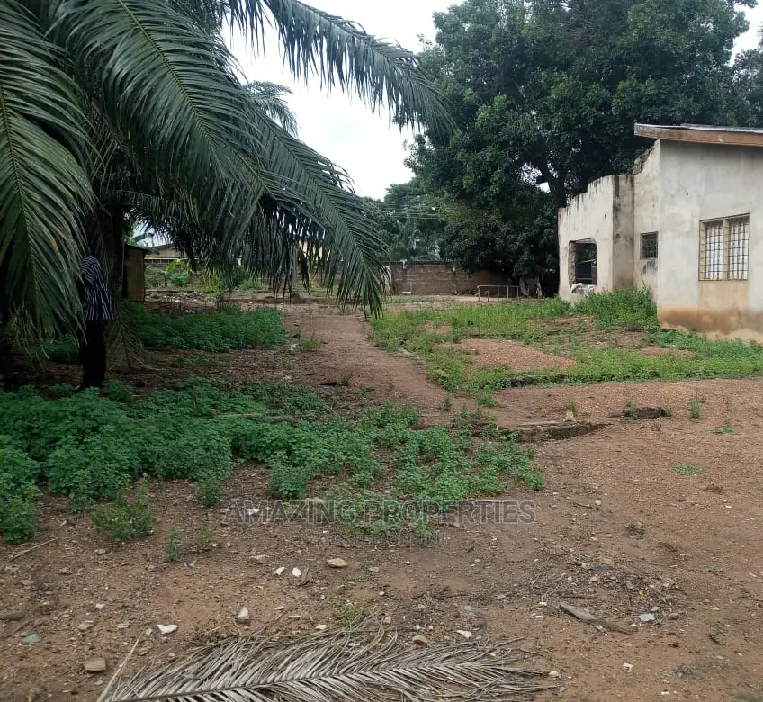 3 Plots of Land for Sale at Mallam