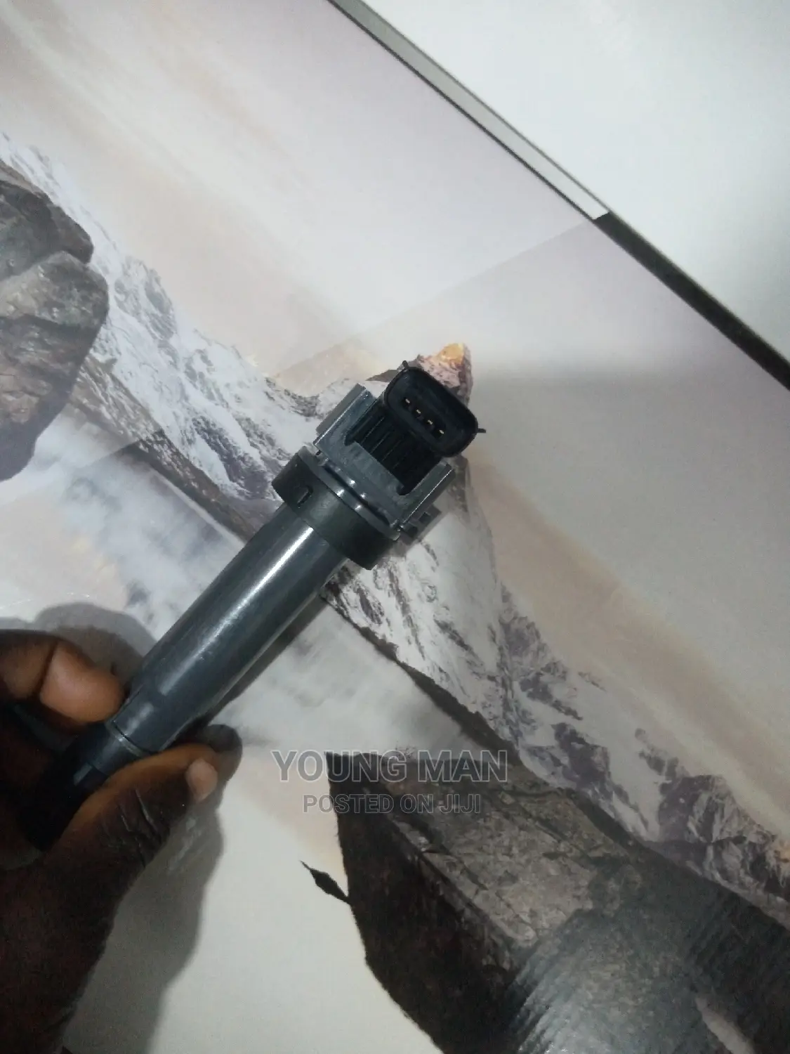Chevrolet Spark Ignition Coil Original GM