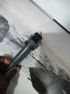 Chevrolet Spark Ignition Coil Original GM