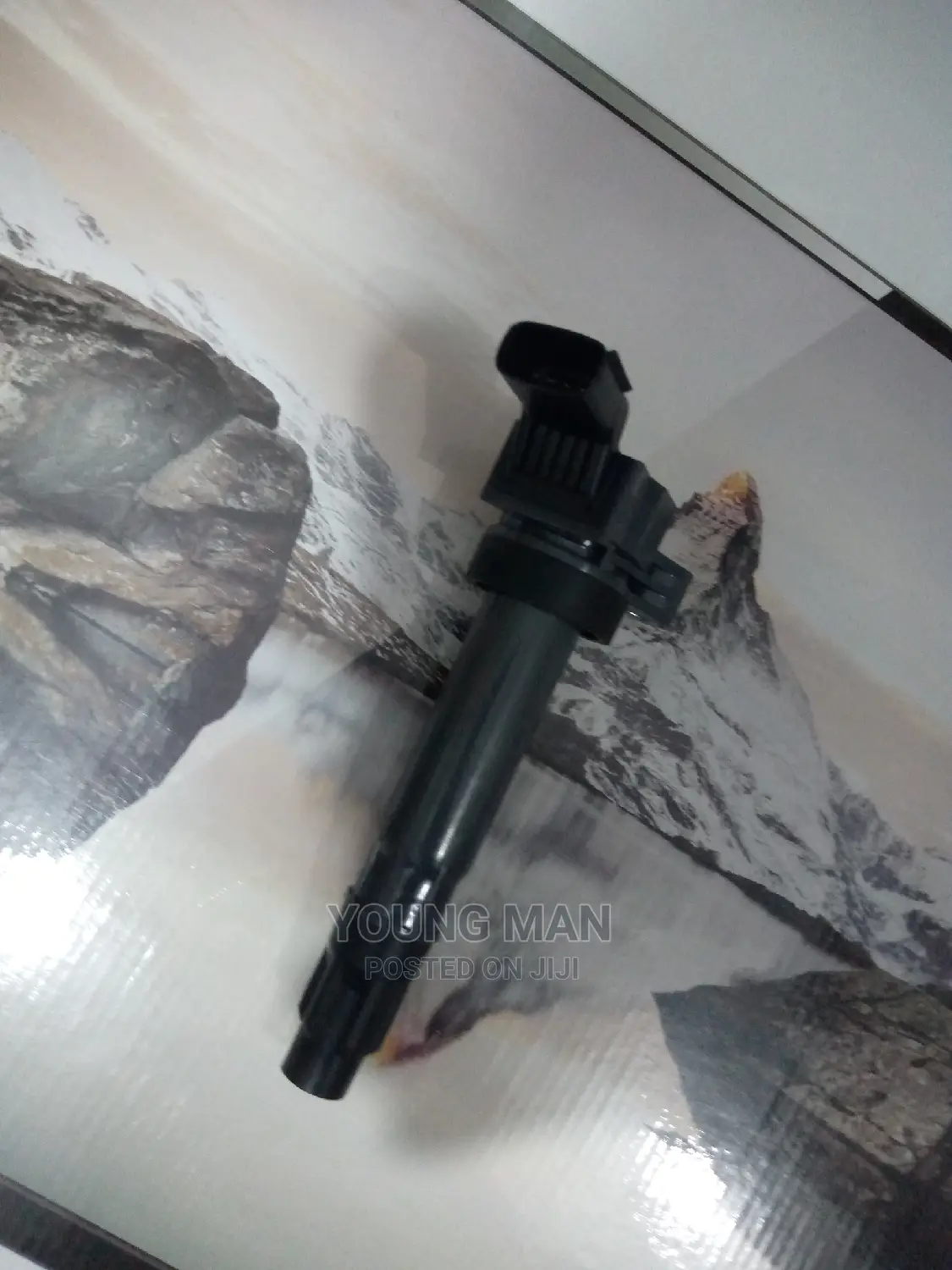 Chevrolet Spark Ignition Coil Original GM
