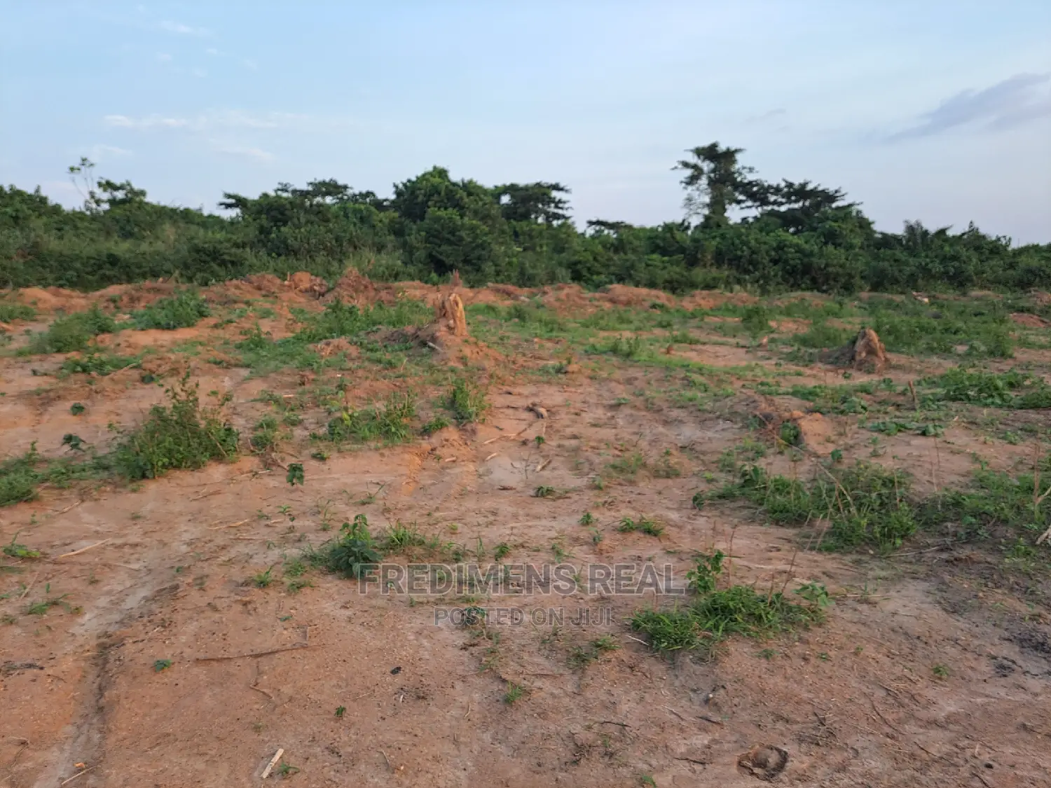 A Half Plot at Antoa-Adesina