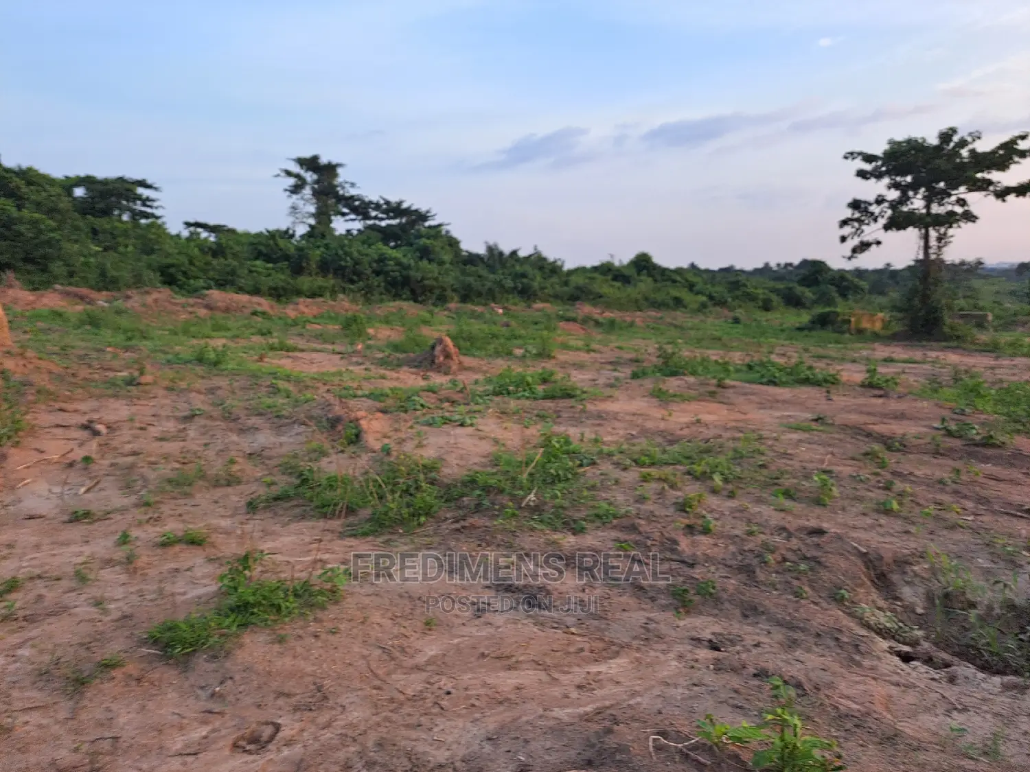 A Half Plot at Antoa-Adesina