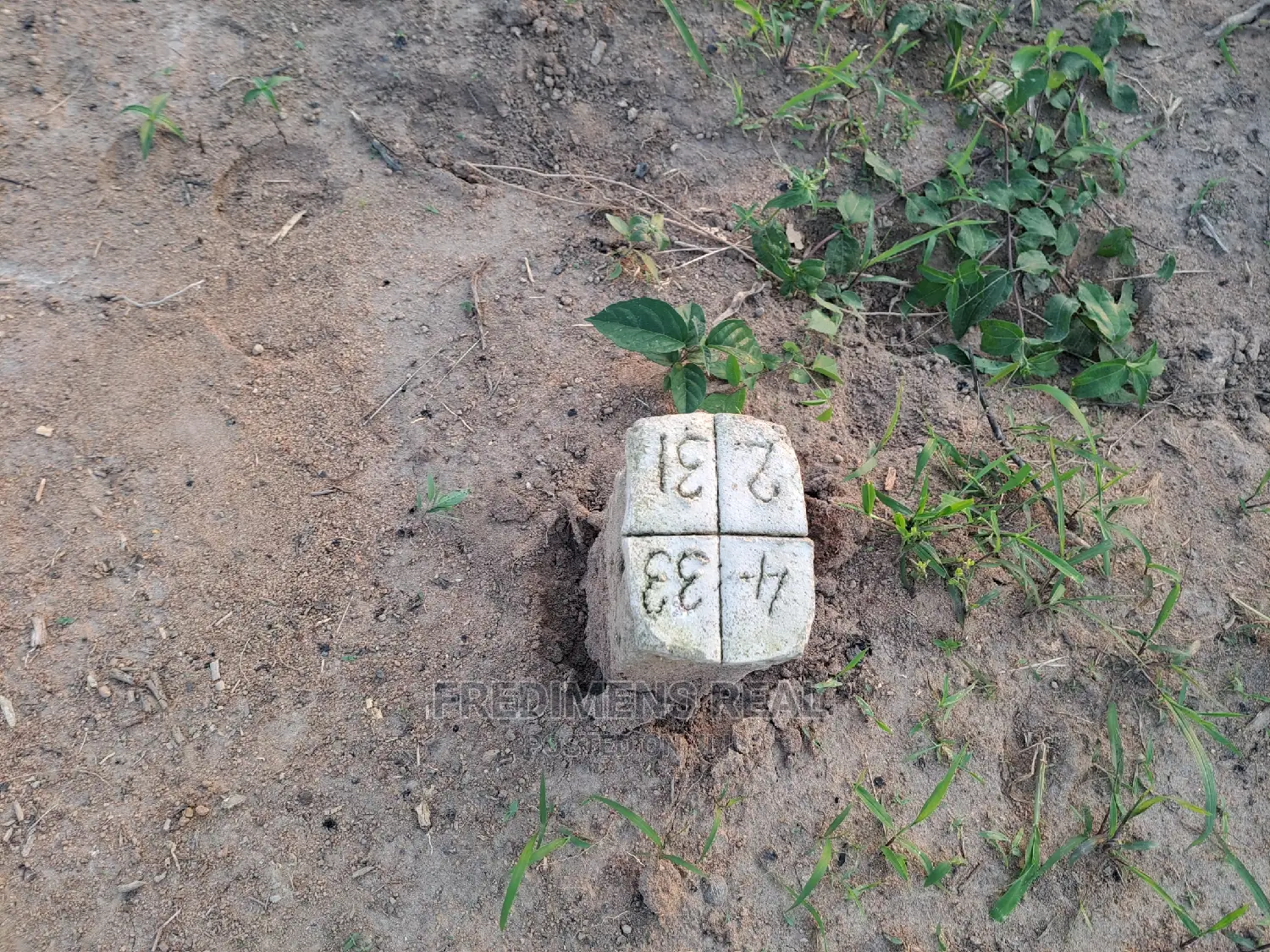 A Half Plot at Antoa-Adesina