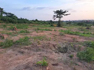 A Half Plot at Antoa-Adesina