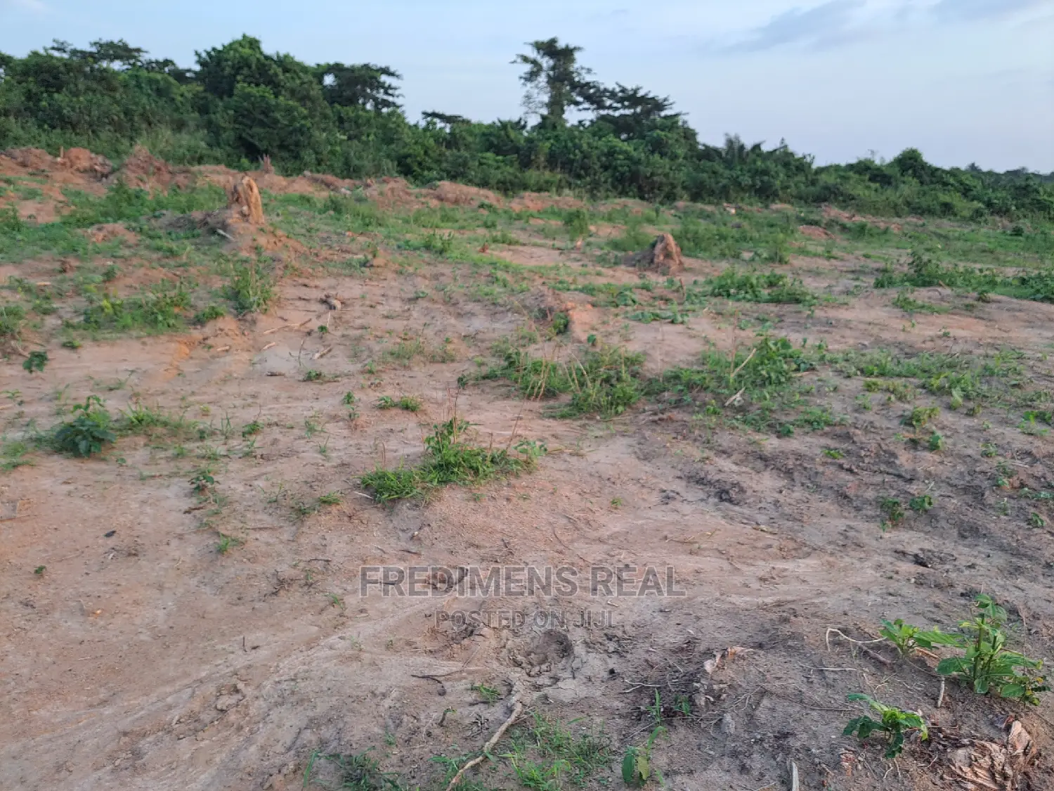 A Half Plot at Antoa-Adesina