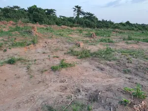 A Half Plot at Antoa-Adesina