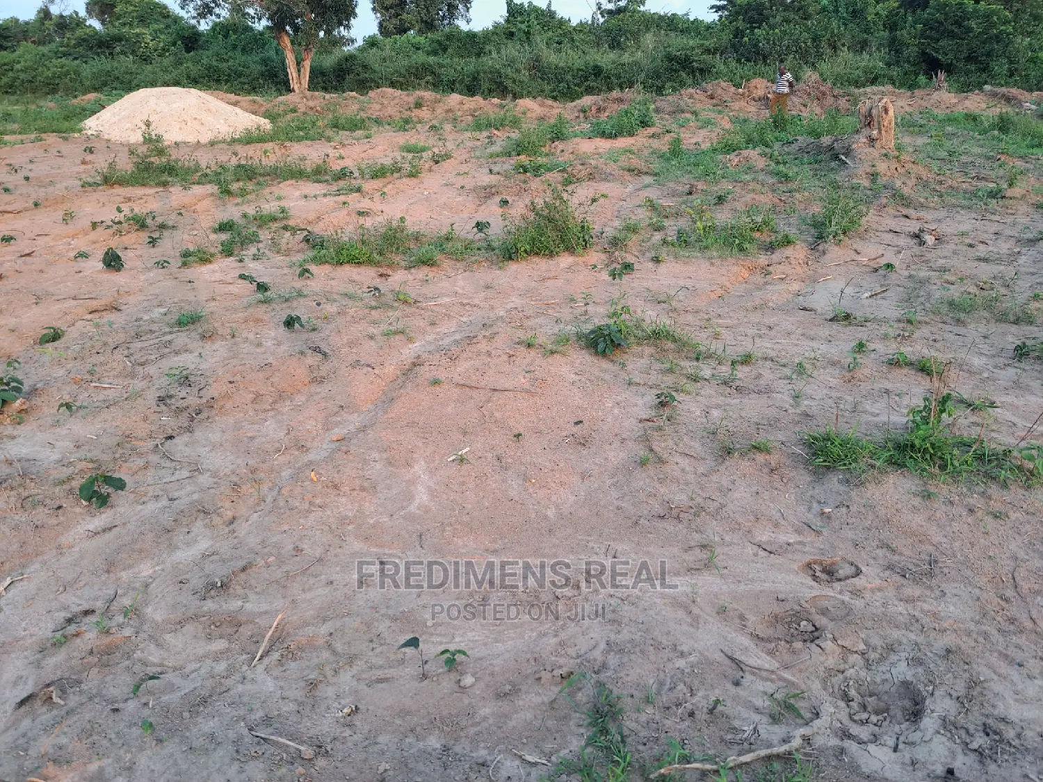 A Half Plot at Antoa-Adesina