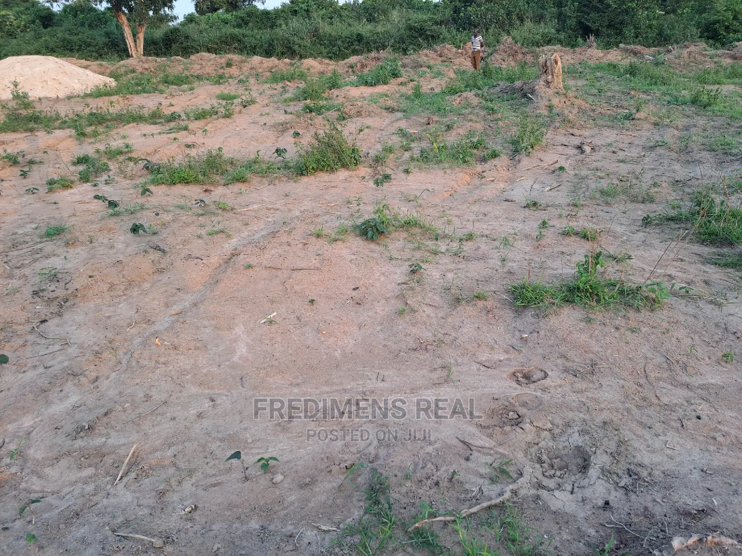 A Half Plot at Antoa-Adesina