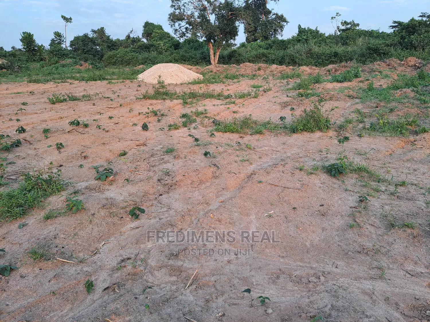 A Half Plot at Antoa-Adesina