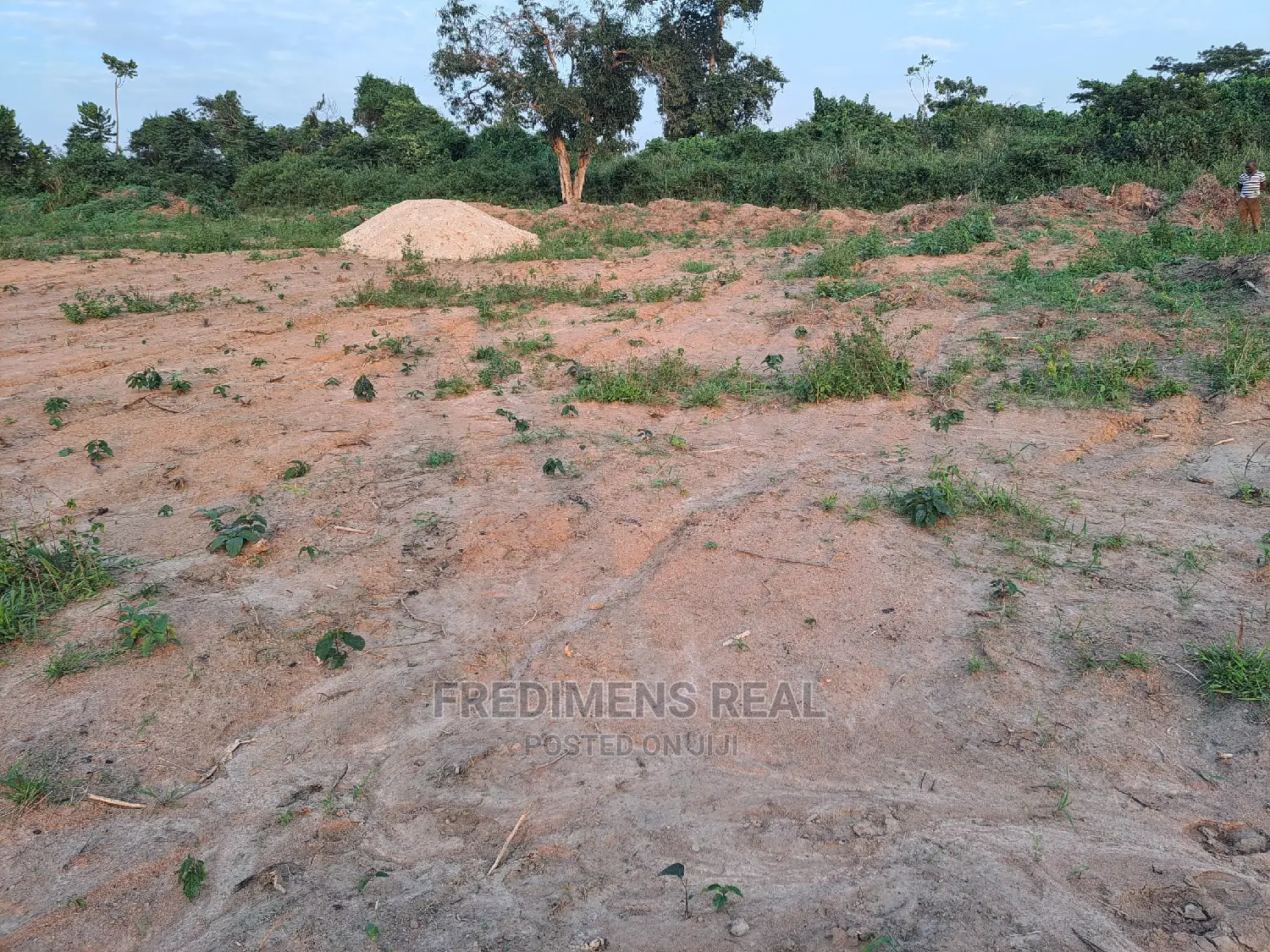 A Half Plot at Antoa-Adesina