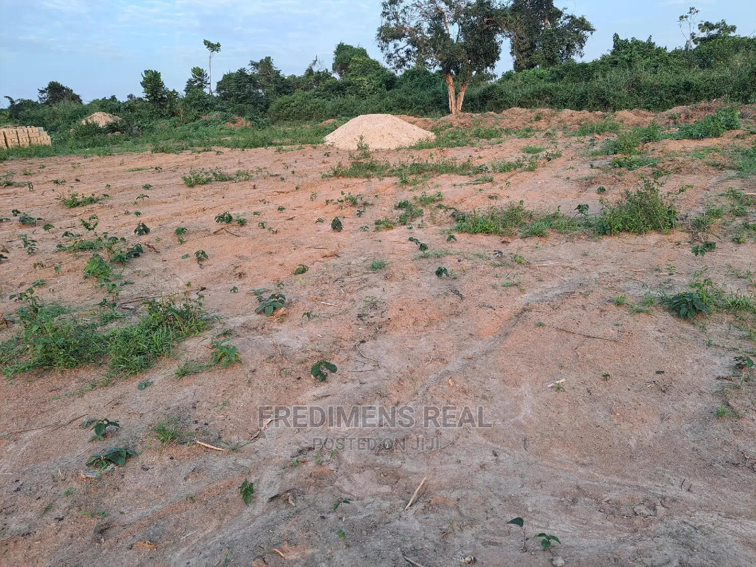 A Half Plot at Antoa-Adesina