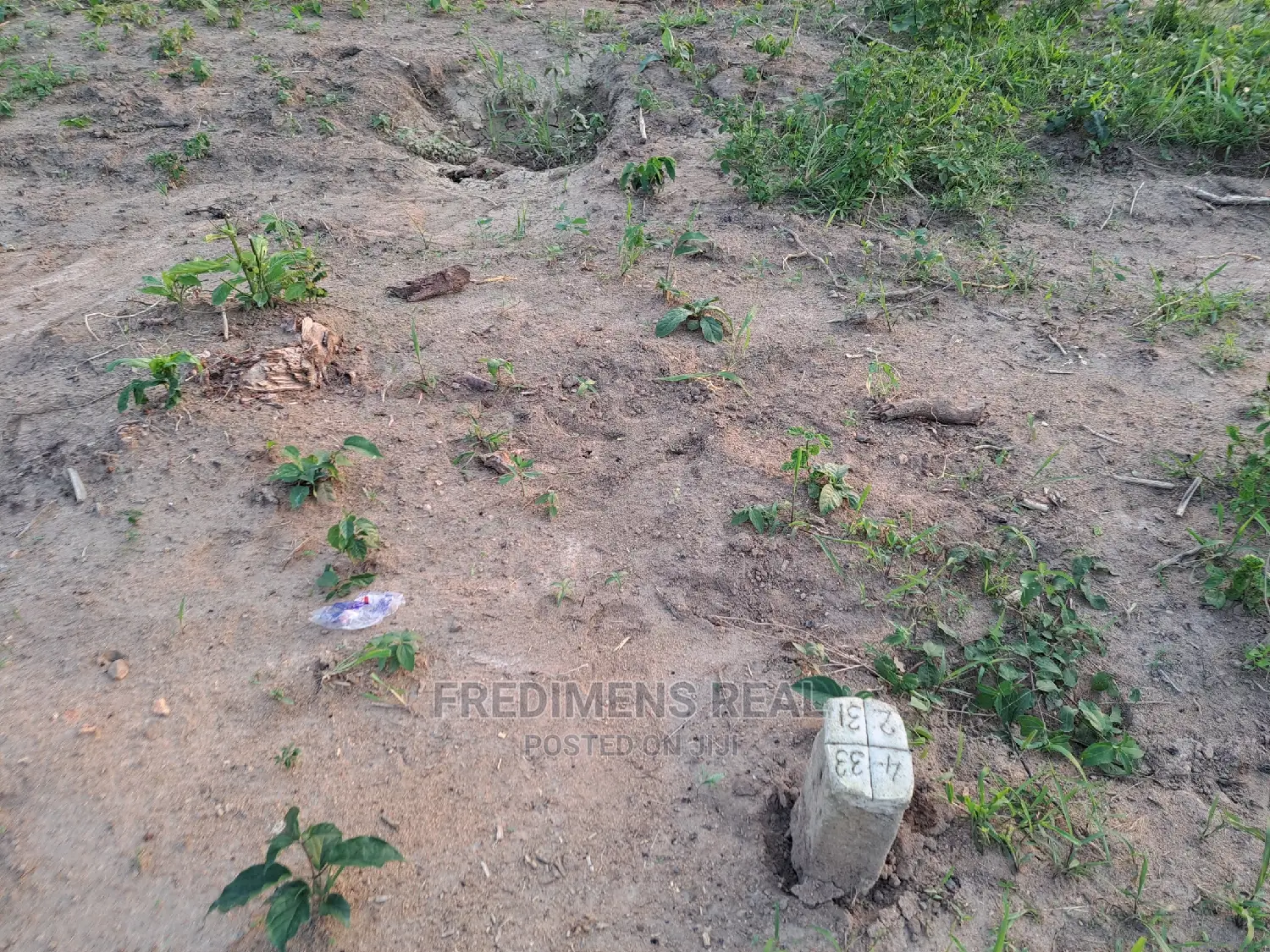 A Half Plot at Antoa-Adesina