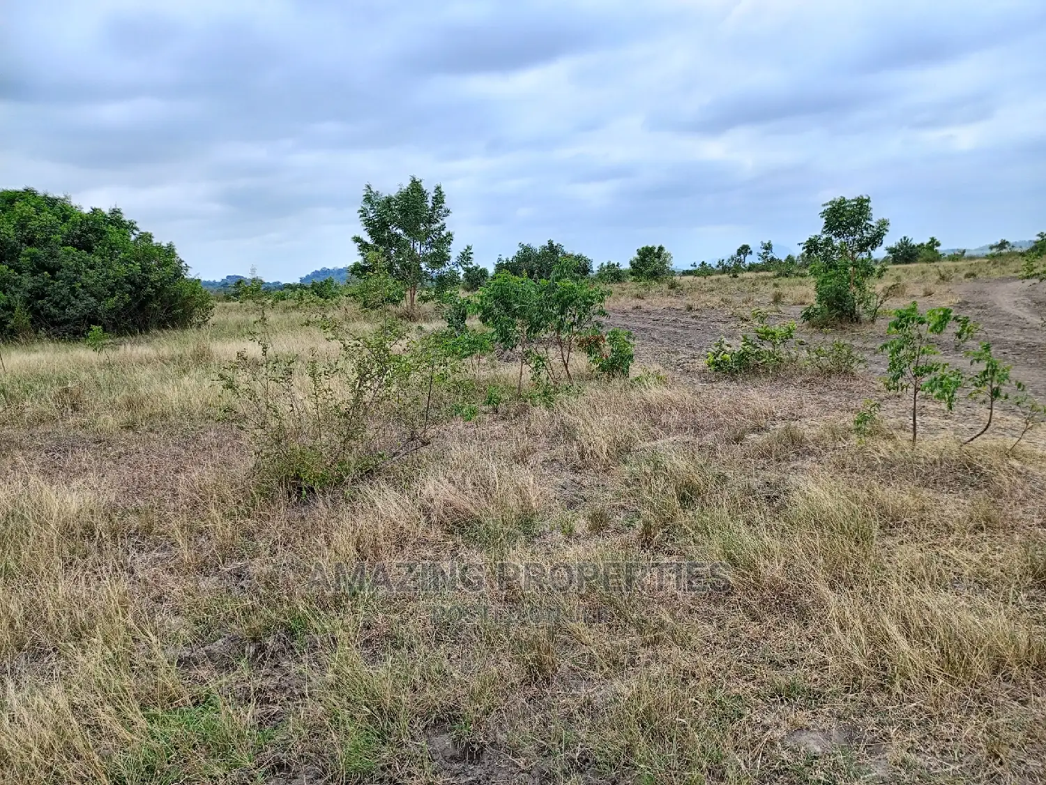 For Sale 5 Acres of Land