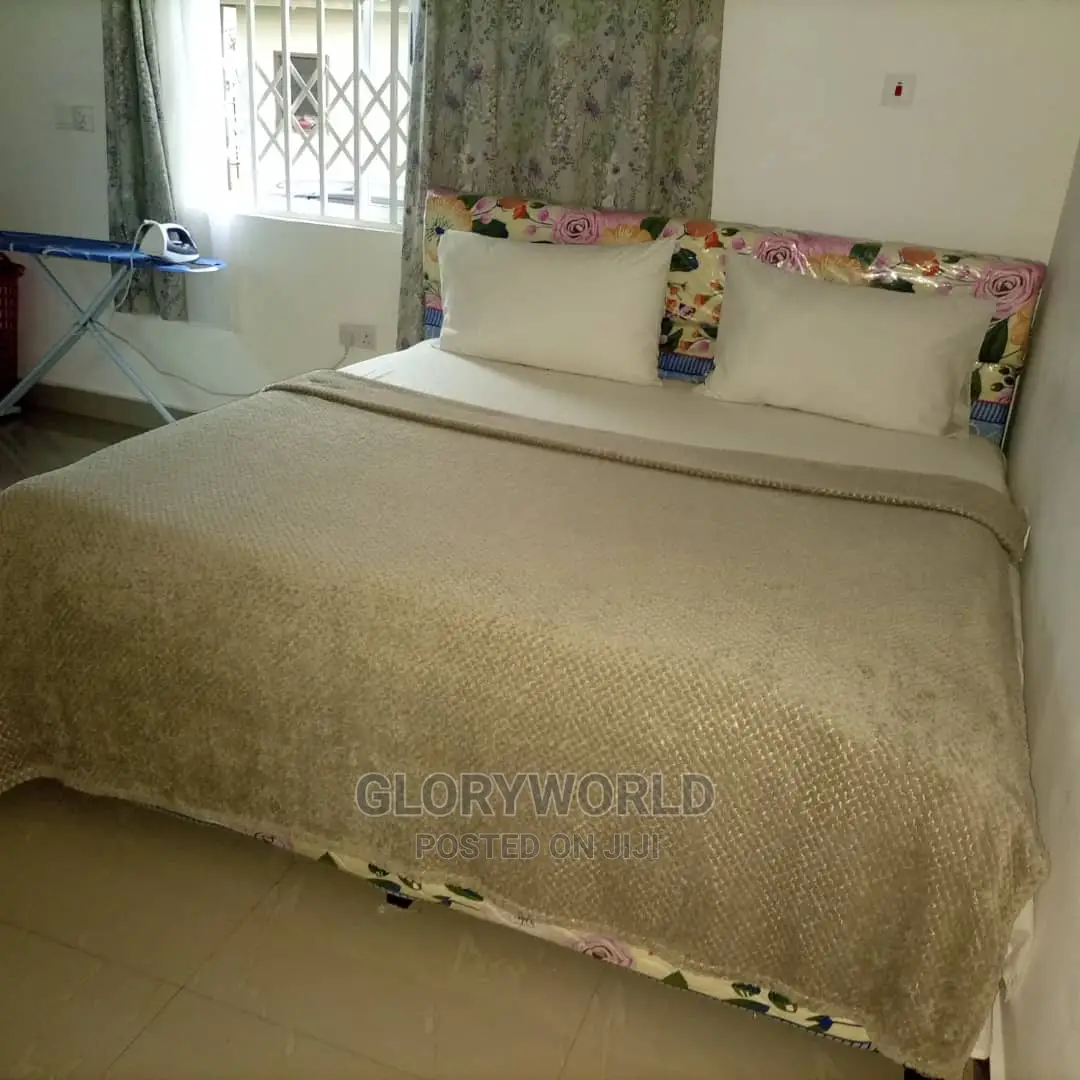 Furnished 1bdrm Apartment in Spintex for rent