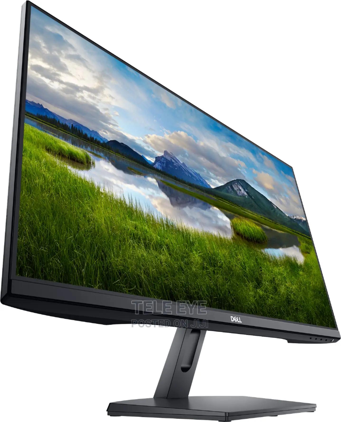 Dell 27" Monitor