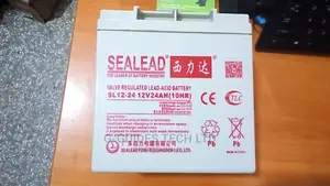 Sealead 12v 24ah Ups Battery
