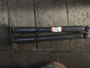Chrysler 300 Back Shock Absorbers