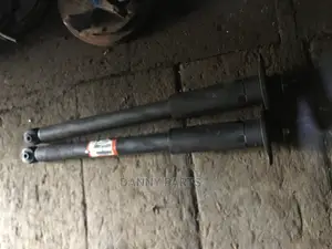 Chrysler 300 Back Shock Absorbers