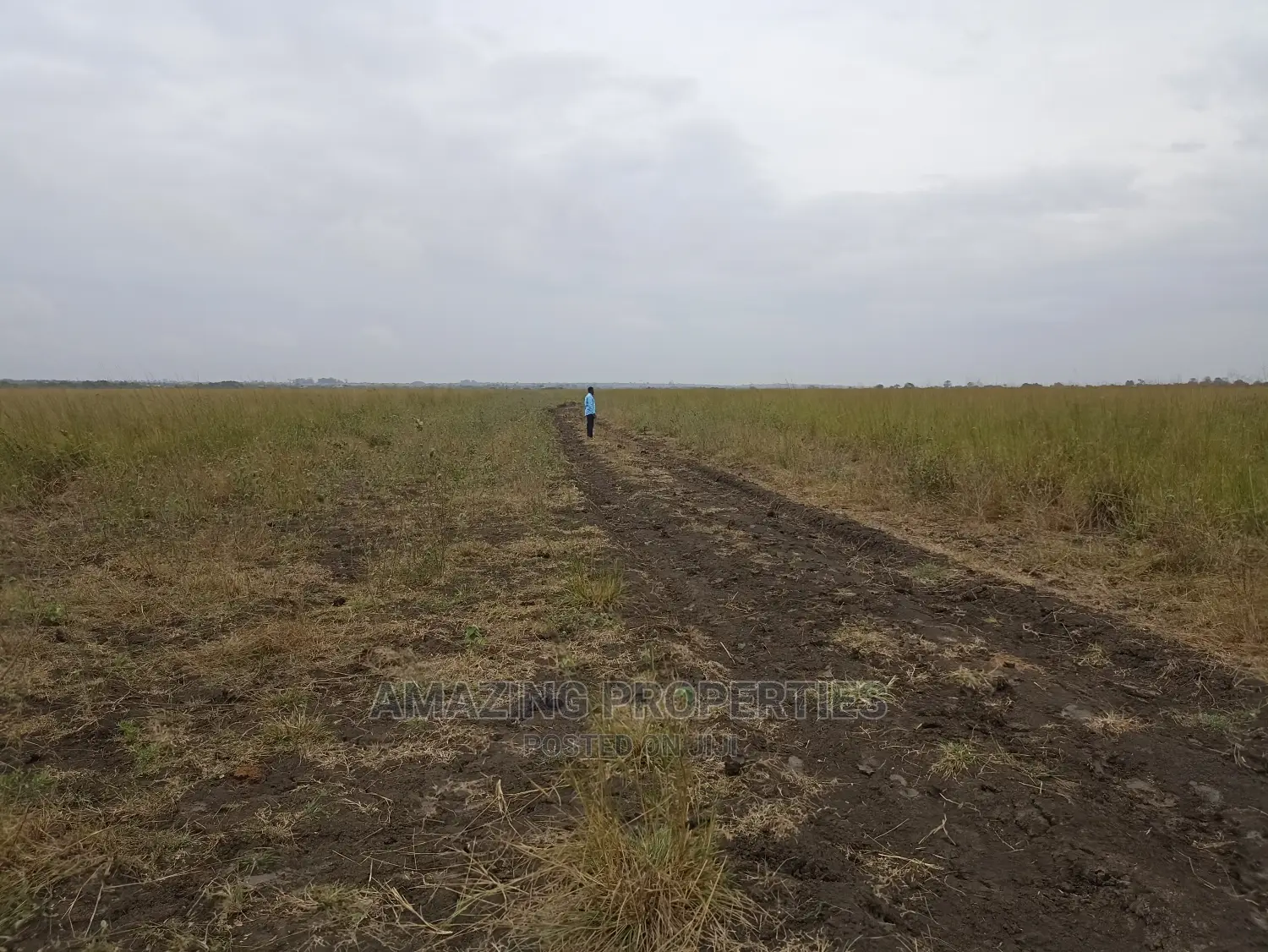 For Sale 5 Acres of Land