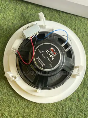 40watts Ceiling Speakers - 8 Inches