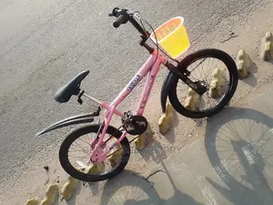 Beautiful BMX Bike