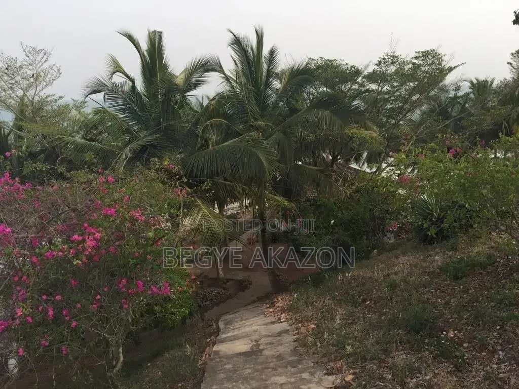 376 Acre Beach Land 4 Sale Ningo