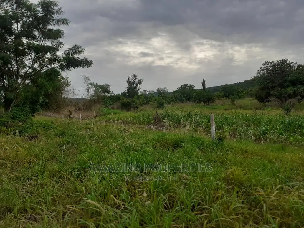 Spintex Manet About 20 Acres Fenced Land (Bare Land)