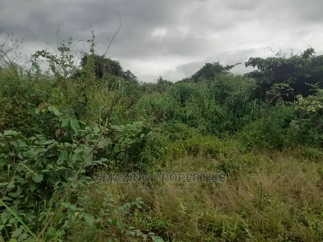 Spintex Manet About 20 Acres Fenced Land (Bare Land)
