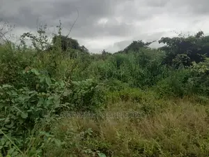 Spintex Manet About 20 Acres Fenced Land (Bare Land)