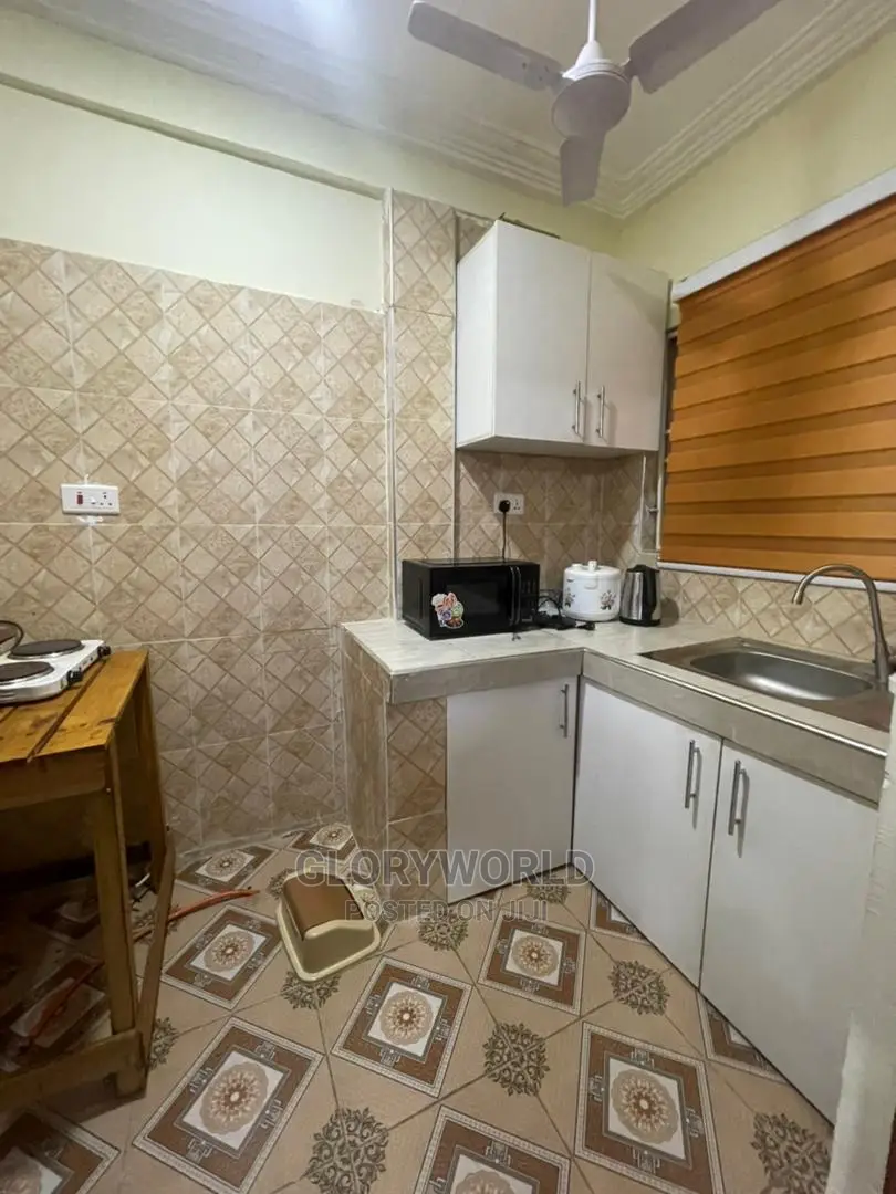 Beautifully Furnished 1 Bedroom Apartment at Spintex(Per Day