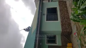 Roof Leakages /Repairs
