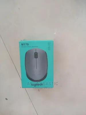 Logitech N170 Wireless Mouse