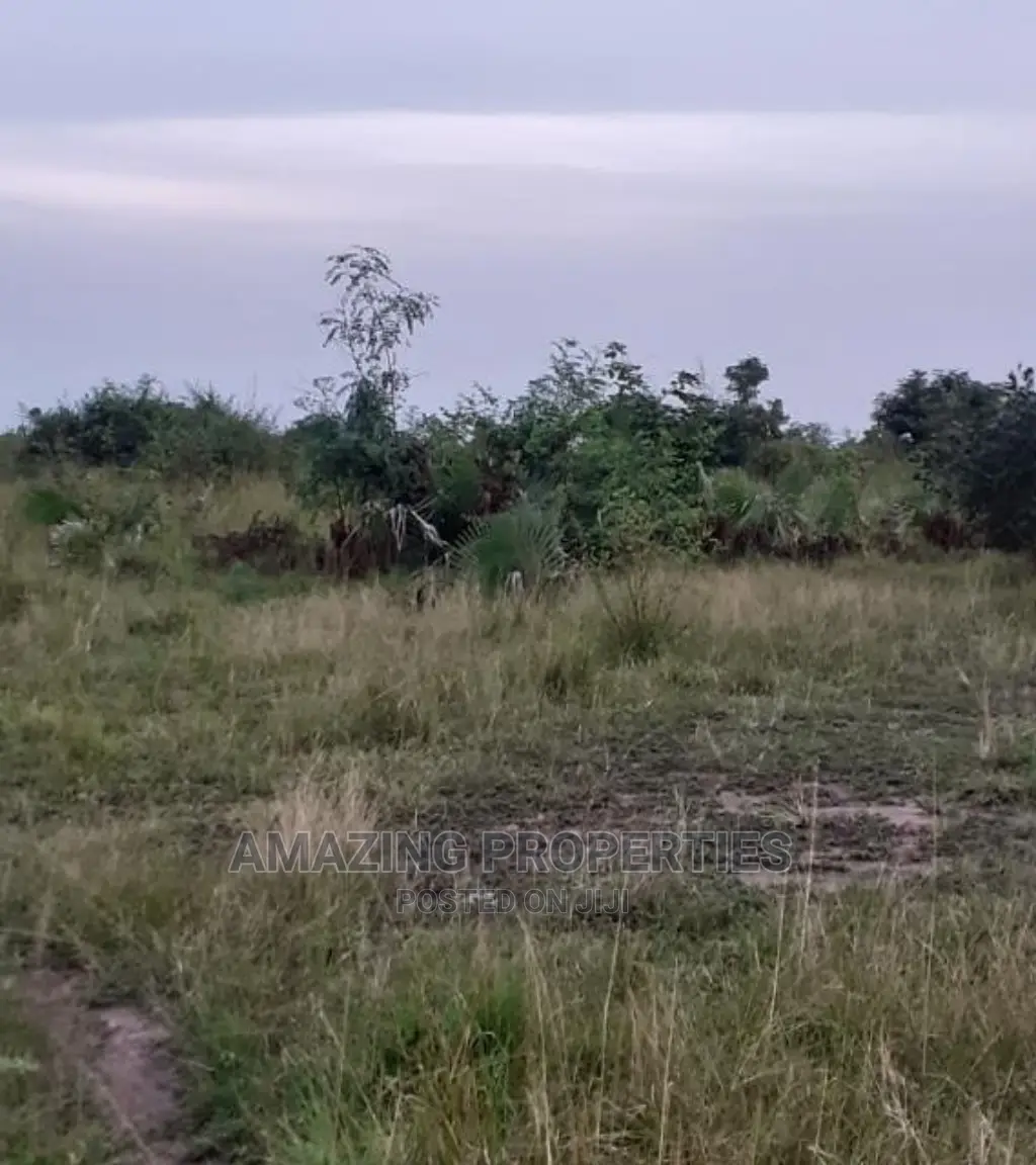 350 Acrez of Land at Sege-Ada