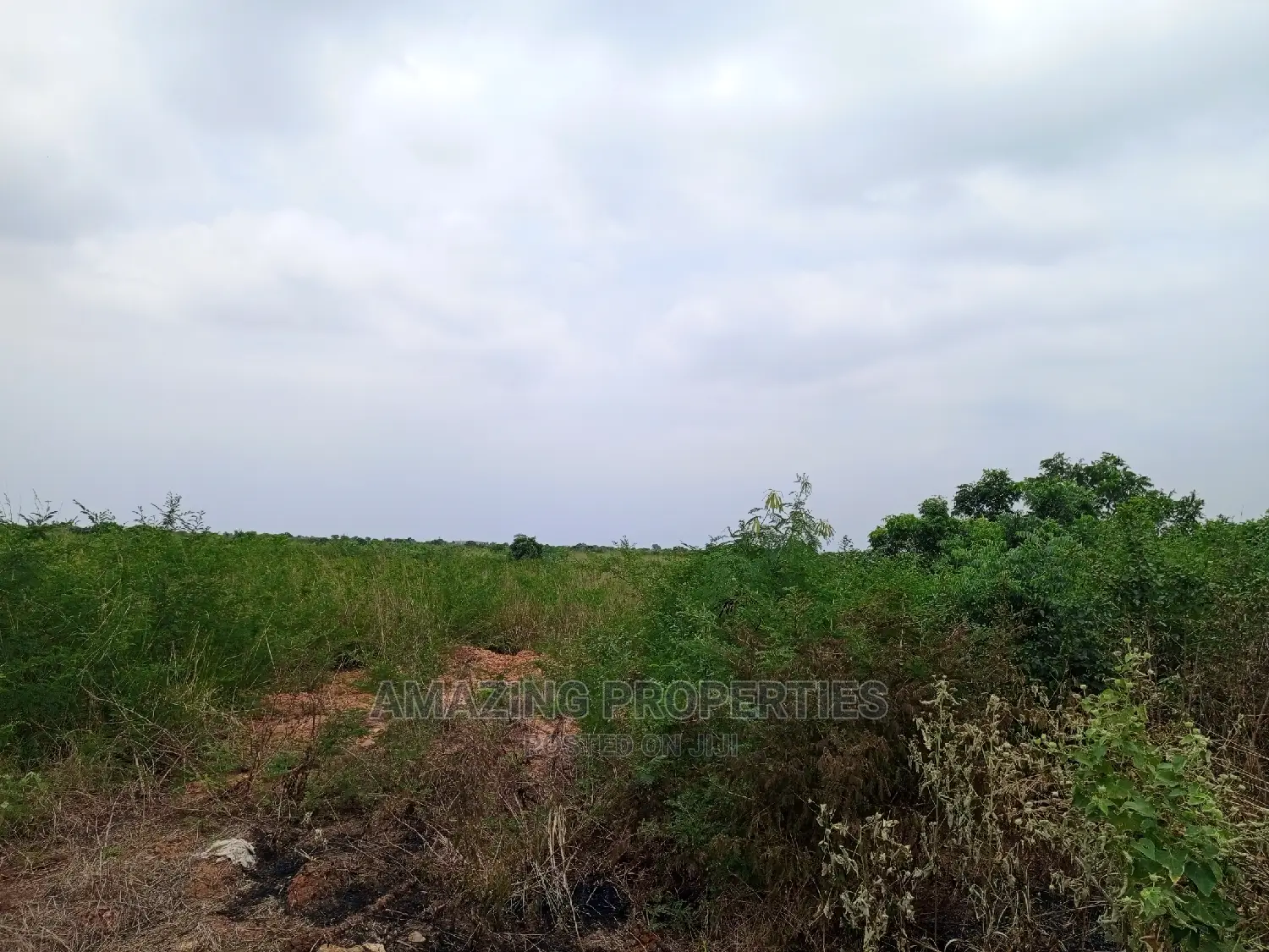13 Acre Land for Sale in Tema Opposite TOR