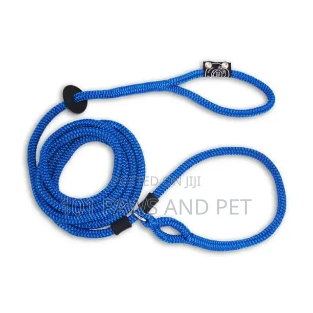 Harness Lead Leash And Collar All In One. 3 In 1.