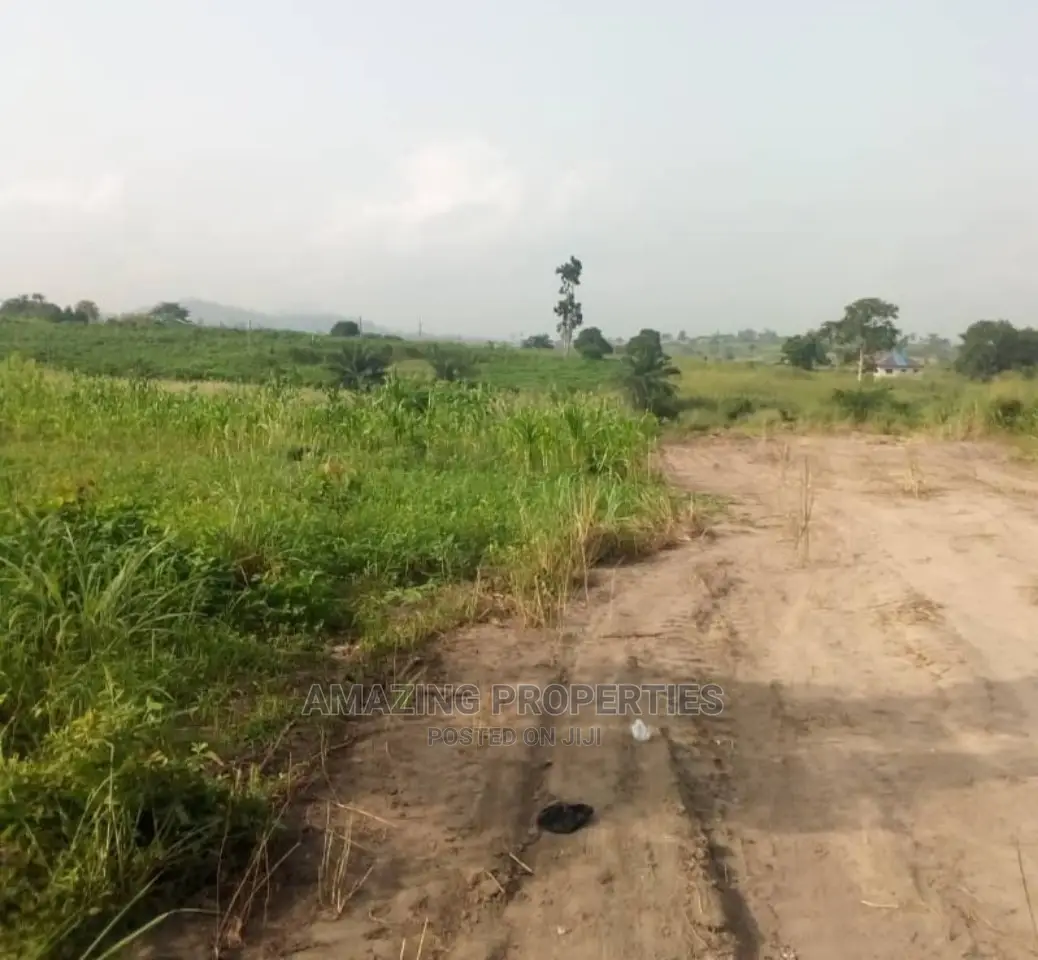 80x135 Ft Plot of Land at Community 24