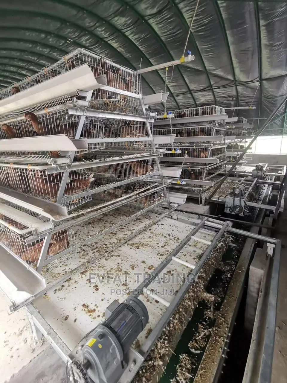 Battery Cage