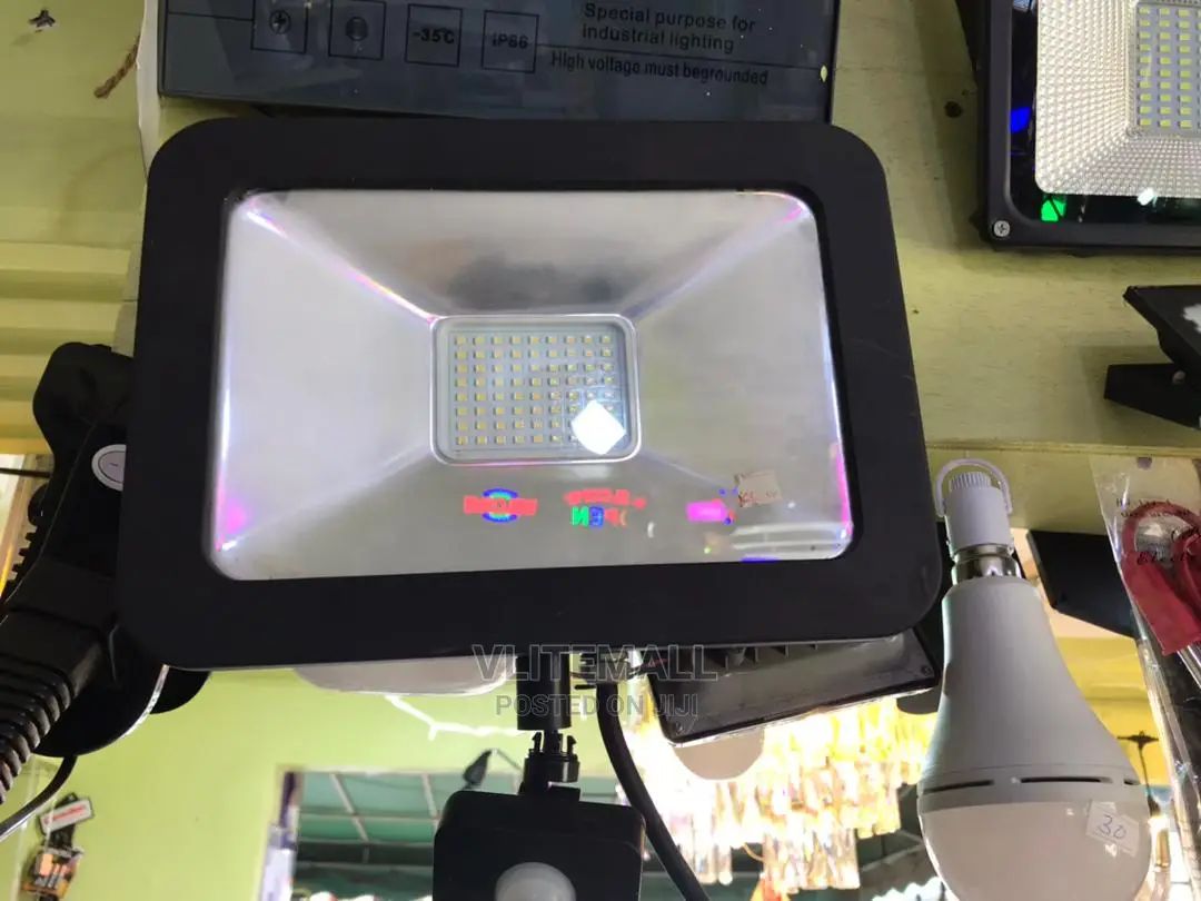 Induction Floodlight 30W