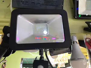 Induction Floodlight 30W